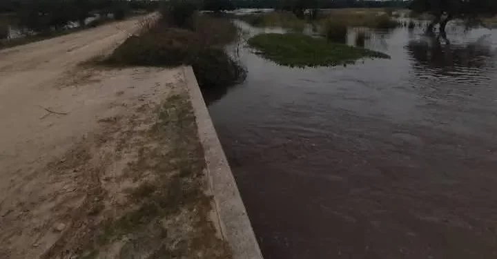 Alerta por crecida de los arroyos Sarandí y Barranca: podrían cortar la ruta