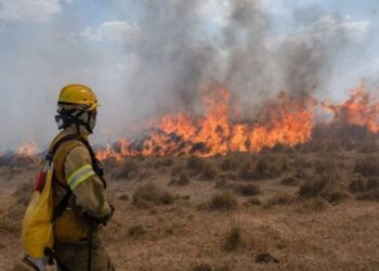 Día del Bombero Voluntario: ¿por qué se celebra el 2 de junio?