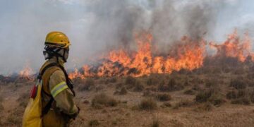 Día del Bombero Voluntario: ¿por qué se celebra el 2 de junio?