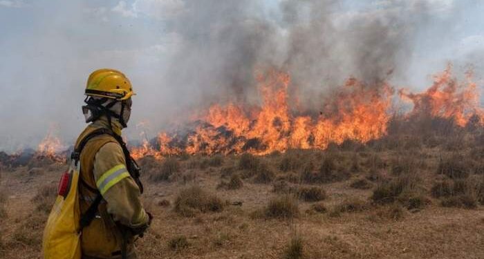Día del Bombero Voluntario: ¿por qué se celebra el 2 de junio?