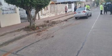 Remisero chocó con un cantero: dos pasajeros llevados al hospital