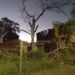Fatal: un hombre que podaba un árbol cayó de una escalera y murió