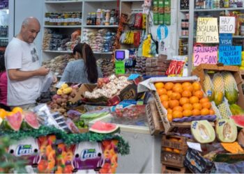 Inflación: cuáles fueron los alimentos que más subieron y más bajaron en mayo, según INDEC