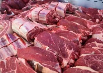 El consumo de carne vacuna sigue siendo uno de los más bajos de la historia
