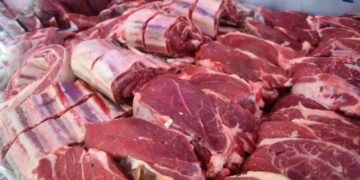 El consumo de carne vacuna sigue siendo uno de los más bajos de la historia