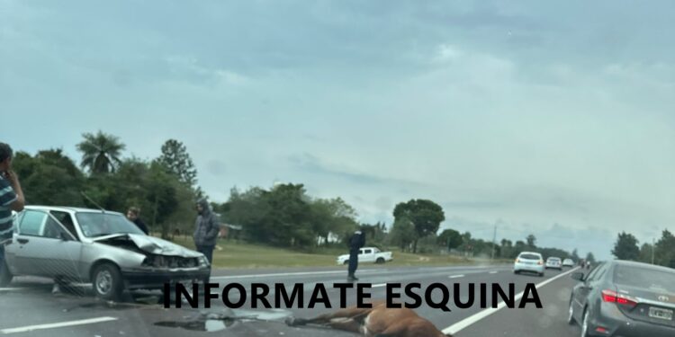 Un automóvil atropelló a un caballo sobre ruta nacional 12