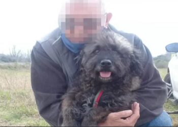 “Viuda negra” desvalijó a un jubilado y apuñaló al perro