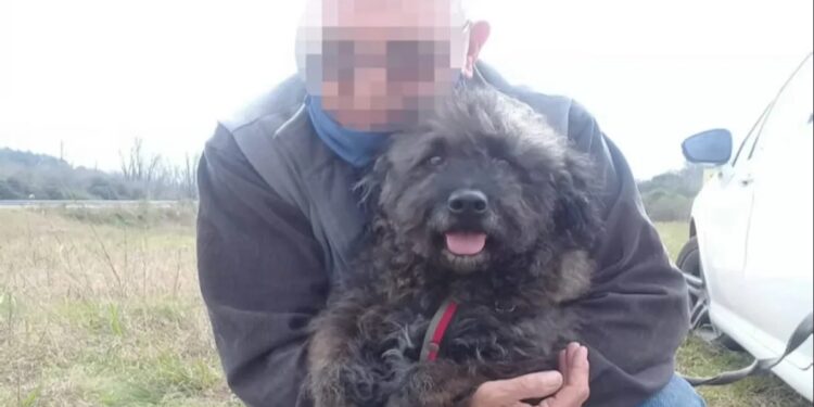 “Viuda negra” desvalijó a un jubilado y apuñaló al perro