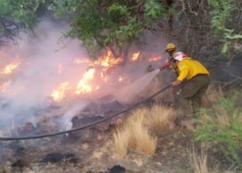 Motosierra: el Gobierno disolvió los fondos fiduciarios de infraestructura regional, manejo del fuego y el Fondep
