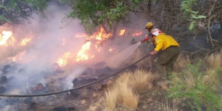Motosierra: el Gobierno disolvió los fondos fiduciarios de infraestructura regional, manejo del fuego y el Fondep