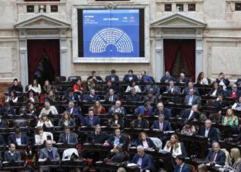 La oposición rechazó el veto a la Emergencia en Discapacidad y lo tratará el Senado