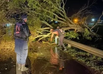 Temporal en Chaco: lluvias intensas, destrozos y un herido en Charata