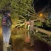 Temporal en Chaco: lluvias intensas, destrozos y un herido en Charata