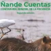 El Poder Ejecutivo presentó su rendición de cuentas 2024