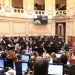 Los tres senadores de Corrientes apoyaron el rechazo al veto al DNU de Milei