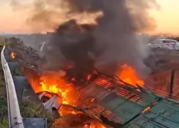 Corrientes: un camión que transportaba autos se prendió fuego y murió el chofer