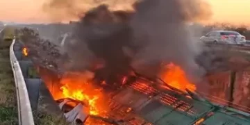 Corrientes: un camión que transportaba autos se prendió fuego y murió el chofer