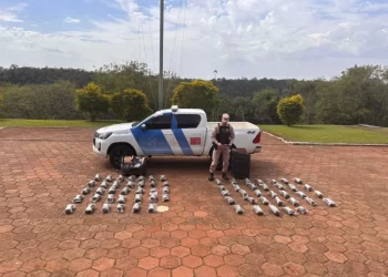Prefectura incautó más de 28 kilos de droga en Misiones