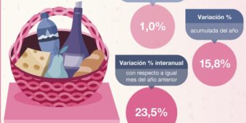 Canasta básica: cuánto necesitó una familia tipo en agosto para no ser pobre
