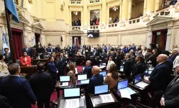 El Senado rechazó los vetos a las leyes de Financiamiento Universitario y de fondos para el Garrahan