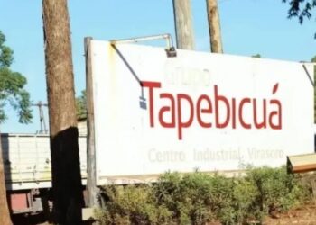 La Ministra de Industria confirmó que se destrabó el conflicto con la forestadora