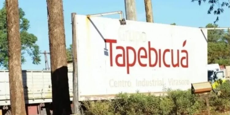 La Ministra de Industria confirmó que se destrabó el conflicto con la forestadora