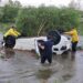 Despiste bajo intensa lluvia en Scorza Cué: heridos leves