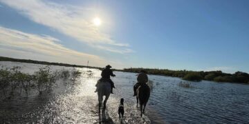 Familias evacuadas y productores en alerta tras las inundaciones en San Luis del Palmar