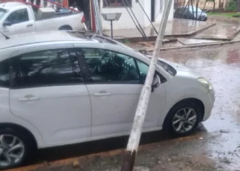 Voladura de techos, cables, postes y árboles caídos, efectos del temporal