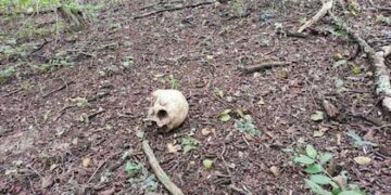 Encontraron el cráneo de una persona adulta en Paso de los Libres