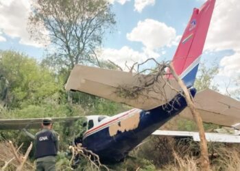 Se estrelló una avioneta narco con matrícula de Bolivia en un campo de Salta