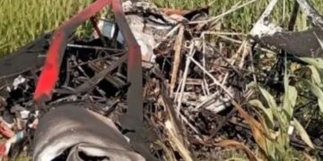 Cayó una avioneta fumigadora en campo de Entre Ríos