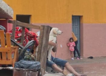 San Luis del Palmar: Más 230 mm de agua caída y siete familias evacuadas