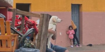 San Luis del Palmar: Más 230 mm de agua caída y siete familias evacuadas