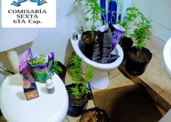 Corrientes: allanamiento por amenazas terminó con un detenido y hallazgo de marihuana