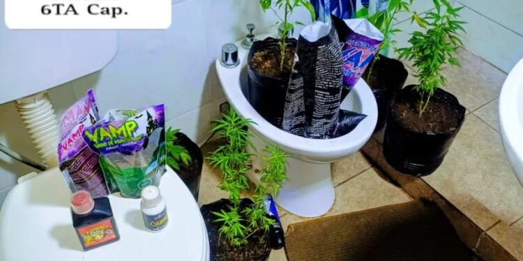 Corrientes: allanamiento por amenazas terminó con un detenido y hallazgo de marihuana