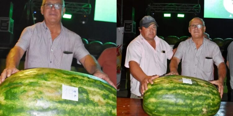 Cosechó una sandía de 41,8 kilos y ganó el concurso en la fiesta provincial