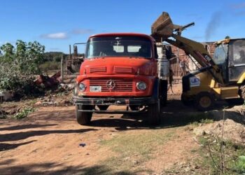 Hallaron un feto en la planta recicladora de Paso de los Libres