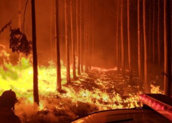 Corrientes: siete localidades bajo riesgo “Extremo” de incendios