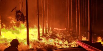 Corrientes: siete localidades bajo riesgo “Extremo” de incendios