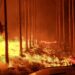 Corrientes: siete localidades bajo riesgo “Extremo” de incendios