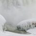 Se congelaron las Cataratas del Niágara por la ola de frío extremo