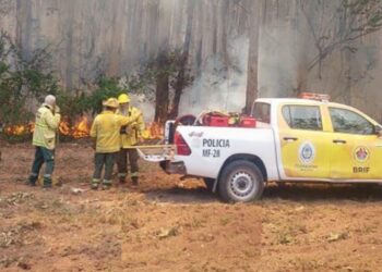 Riesgo extremo de incendios: Esquina bajo alerta máxima