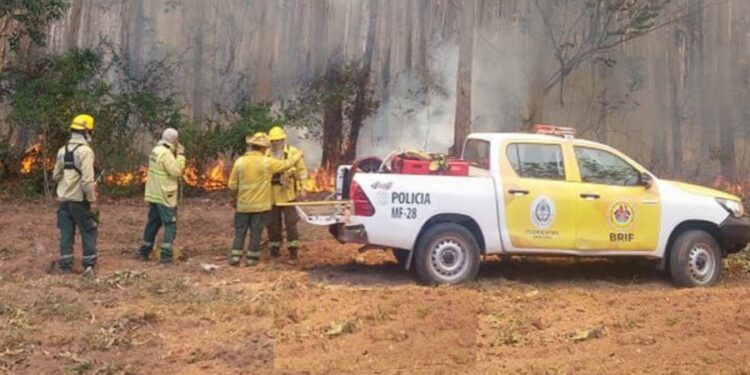 Riesgo extremo de incendios: Esquina bajo alerta máxima