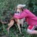 Final feliz: encontraron a Pancho, el perro que estuvo perdido tres días en la zona de Isla