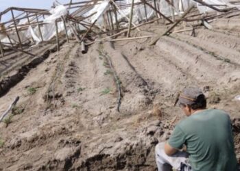 Graves destrozos en establecimientos rurales de Corrientes por el temporal