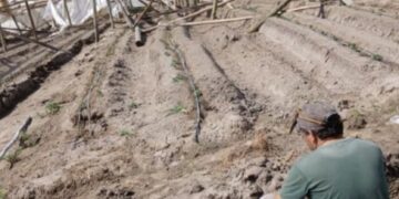 Graves destrozos en establecimientos rurales de Corrientes por el temporal
