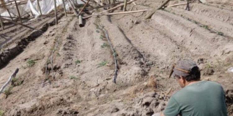Graves destrozos en establecimientos rurales de Corrientes por el temporal