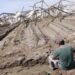Graves destrozos en establecimientos rurales de Corrientes por el temporal