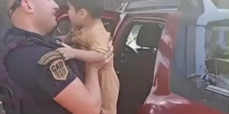 Bajaron a hacer las compras y dejaron a su nieto en el auto con las ventanillas altas